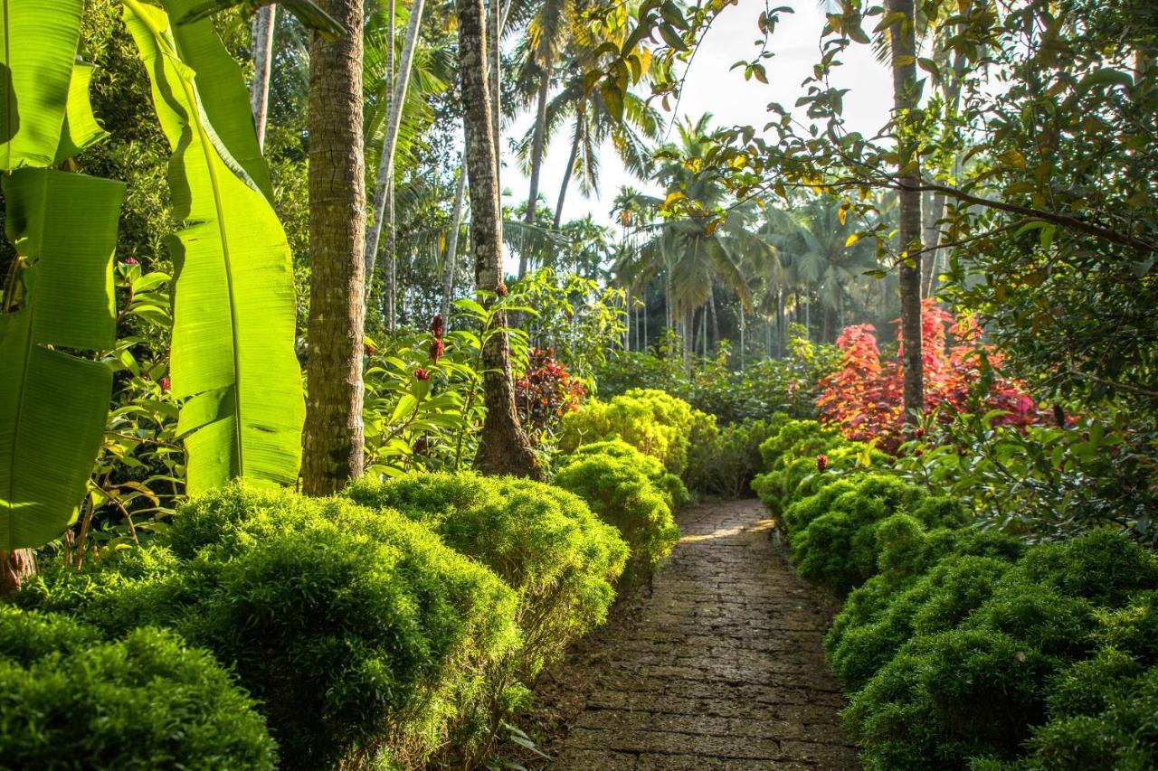 Kahani Paradise Гокарна Экстерьер фото